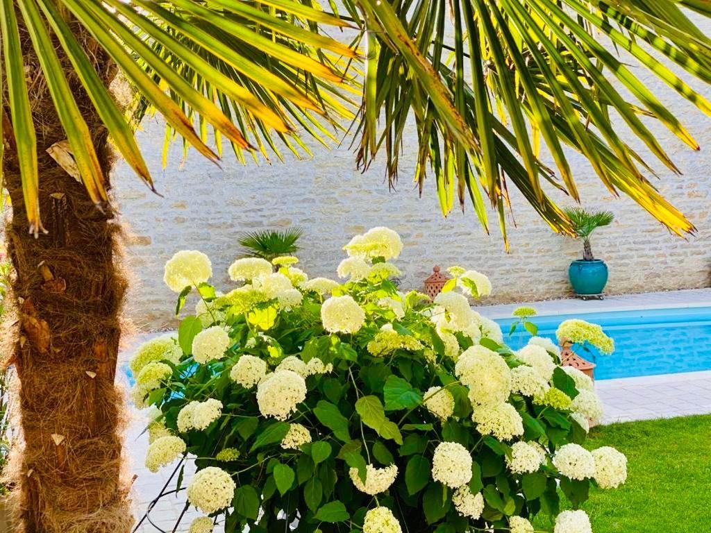 "Le Jardin" Chambre De Charme, Piscine A Meursault Exterior foto