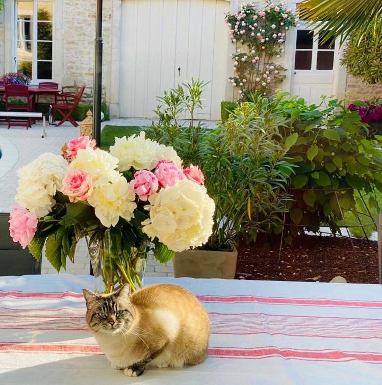 "Le Jardin" Chambre De Charme, Piscine A Meursault Exterior foto